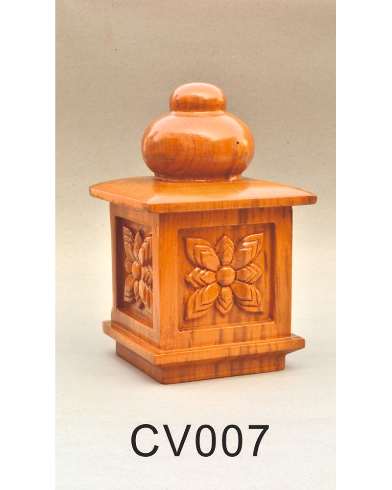 CV 007